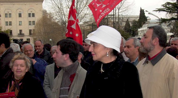 გიორგი გამსახურდია დედას არ დაპირისპირებია 